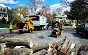 Best Stump Grinding and Removal  in Umatilla, OR