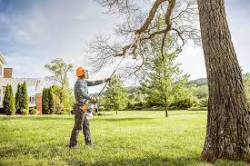 Best Tree Removal  in Umatilla, OR