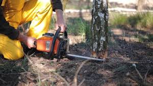 Best Commercial Tree Services  in Umatilla, OR