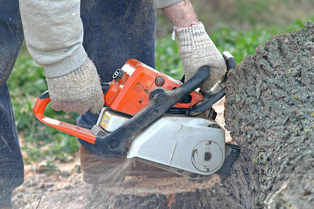 Best Leaf Removal  in Umatilla, OR